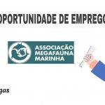 Associação Megafauna Marinha (AMM)