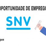 SNV