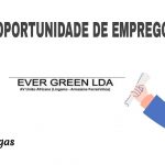 Evergreen,lda