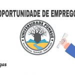 Universidade Púnguè