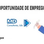 MD Consultores