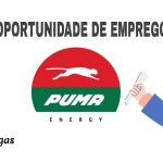 Puma Energy