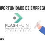 Flashpoint, Engenharia de Segurança Electrónica