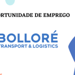 Bolloré Transport & Logistics Moçambique