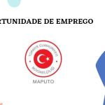 Embaixada da Turquia