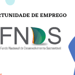 FNDS