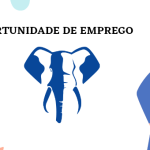 Elephant Bet