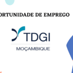 TDGI Moçambique