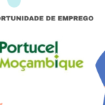 Portucel Moçambique