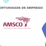 AMSCO ADVISORY SERVICES MOZAMBIQUE