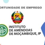 Instituto de Amêndoas de Moçambique, IP