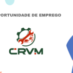 Centro de Reparacoes de Viaturas de Mocambique