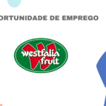 Westfalia Fruit Mozambique