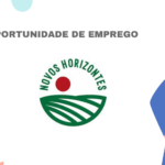 Novos Horizontes Mozambique Lda
