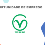 Viga Holding
