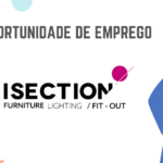 ISECTION, Lda