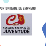 Conselho Provincial da Juventude