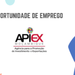 APIEX, IP