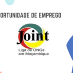JOINT-Liga das ONGs em Moçambique