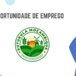 KUTUKULA Moçambique LDA