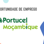 Portucel Moçambique