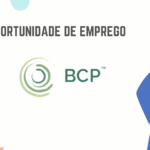 Biocarbon Partners Mozambique