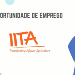 Instituto Internacional de Agricultura Tropical (IITA)