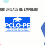 Pro Eng - Consultoria e Serviços, Lda.