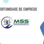Mangungumete Service Solutions Lda