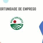 New Horizons Mozambique Lda