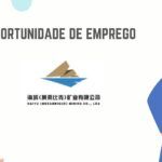 HAIYU VILANCULO MINING CO, LIMITADA