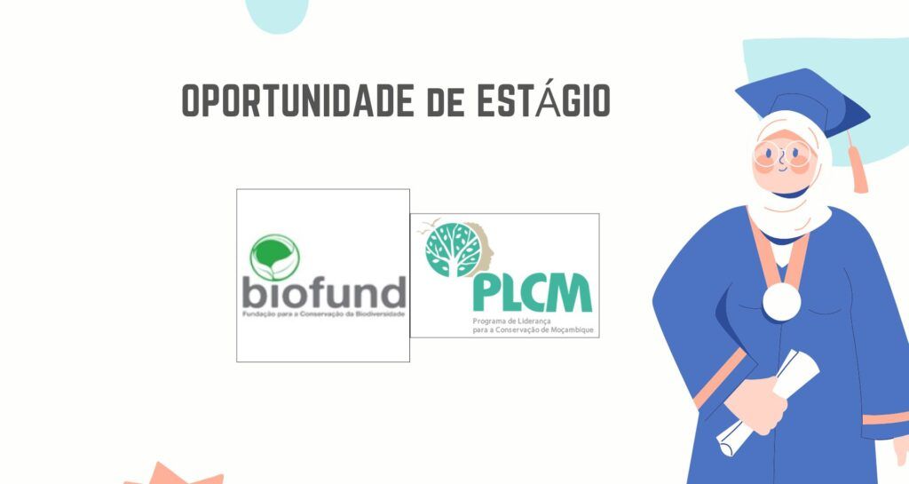 PLCM