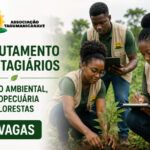 Associação Tagumanicanave