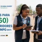 CELINKA Survey Consultoria e Serviços Ltd